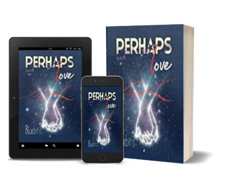 PERHAPS LOVE – Sky Series Vol. 1